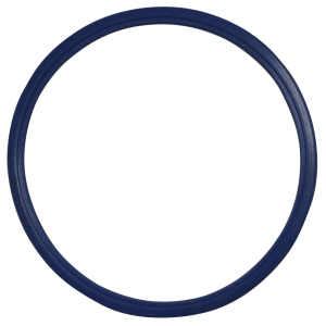 Sealing Ring | 1542781