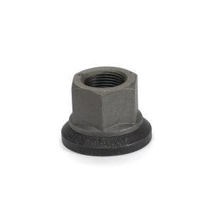 Wheel Nut | 21303956